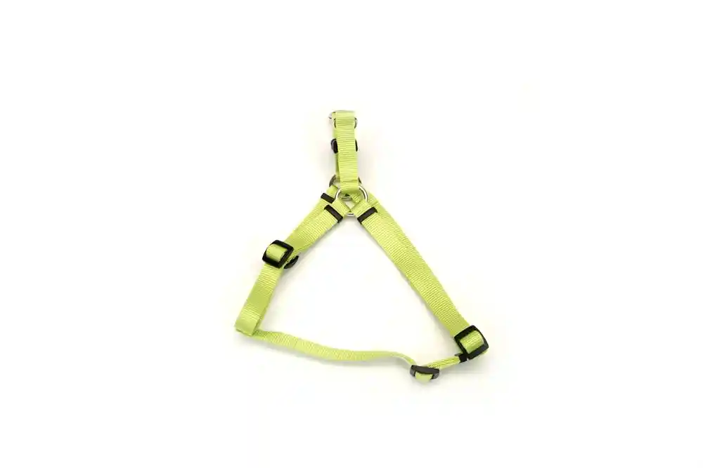 Step In Harness Small Lime
