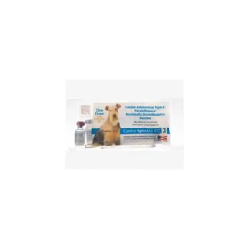 CANINE SPECTRA KC3 1ds w/APPLICATOR