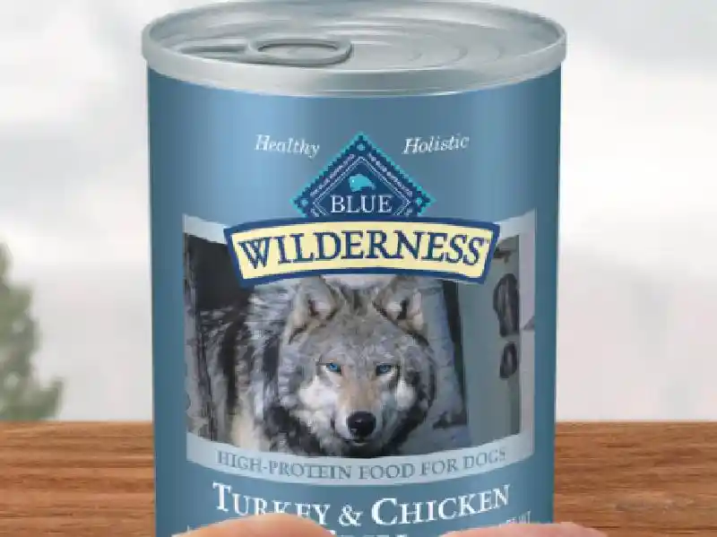 Wilderness Dog Can Chicken Turkey Grill 12.5