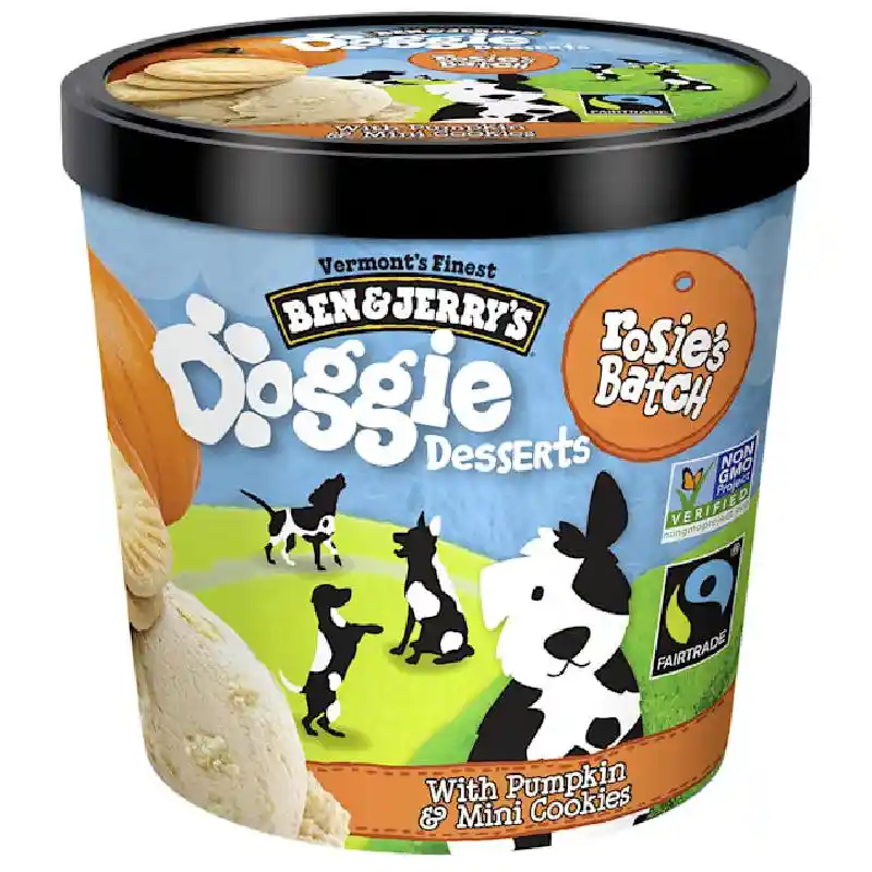 Ben & Jerry's Pumpkin Cookie Ice Cream Single