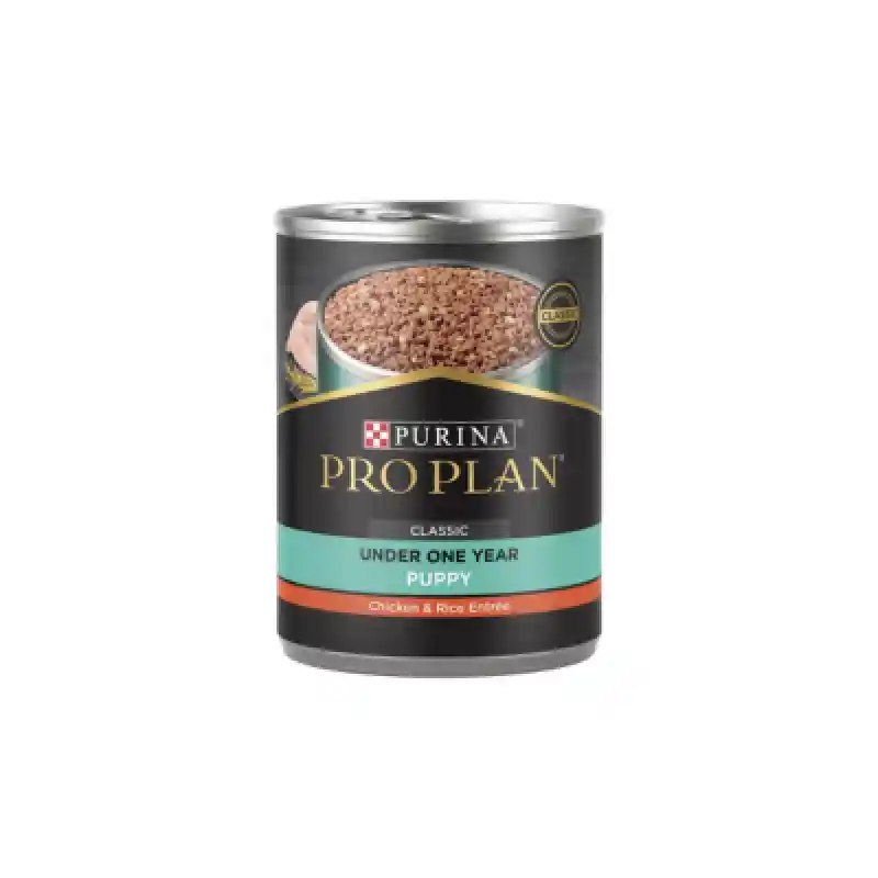 Pro Plan Puppy Can Chicken & Rice 13 Oz