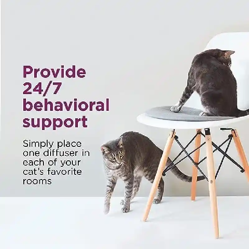 Far Kit Comft Zone Multicat