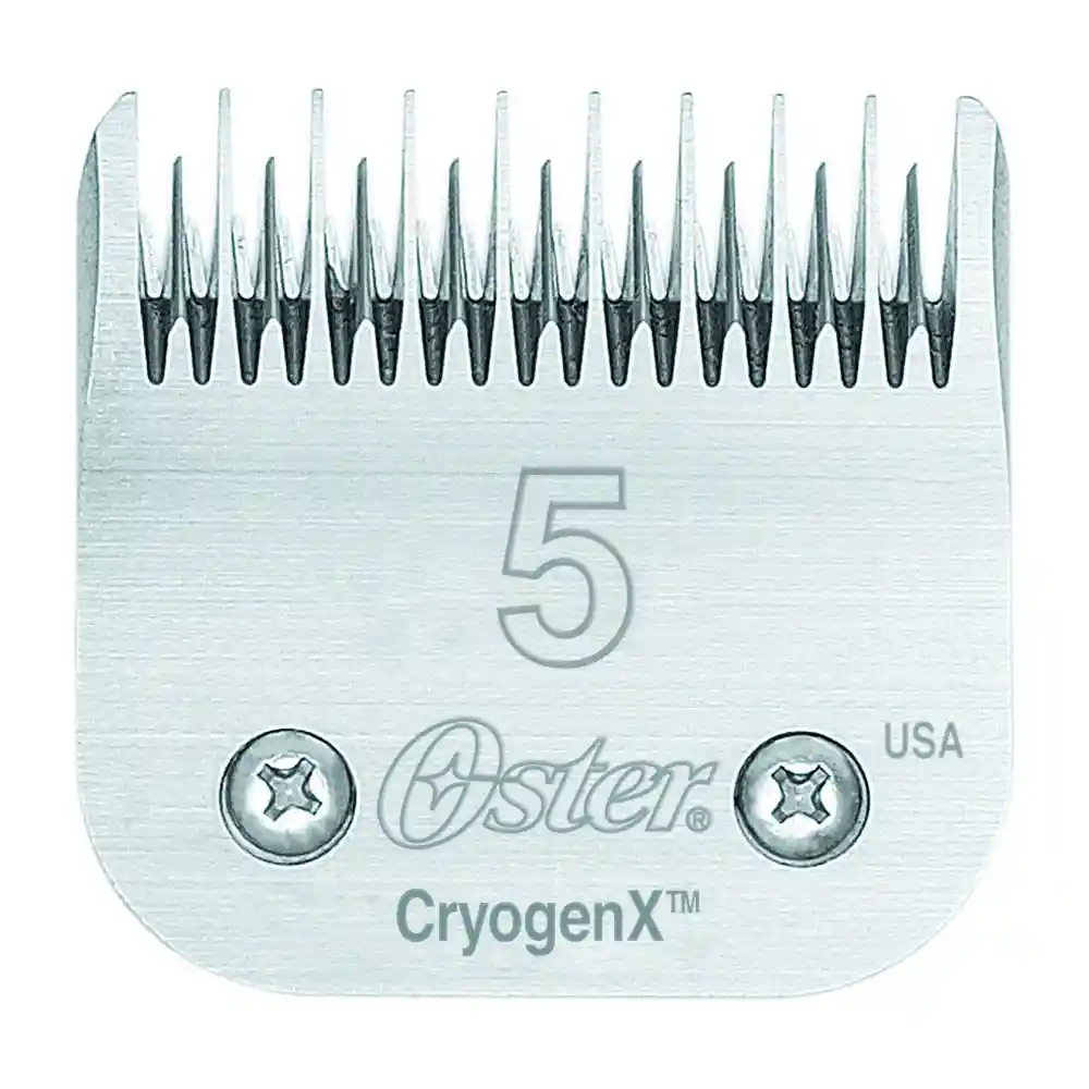Blade A5 Size 5 Skip Tooth 1/4