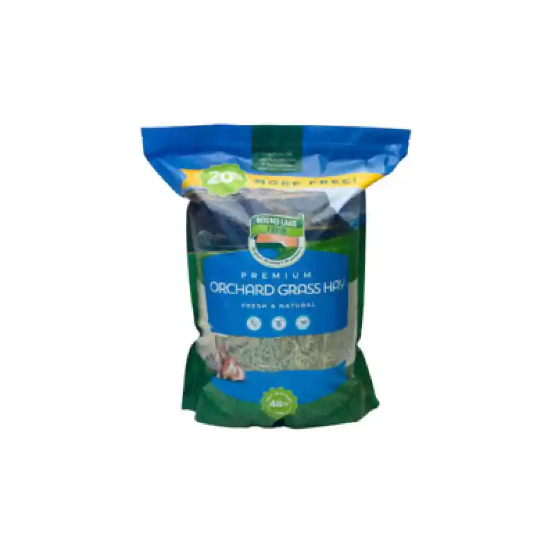 RLF Orchard Hay 48oz