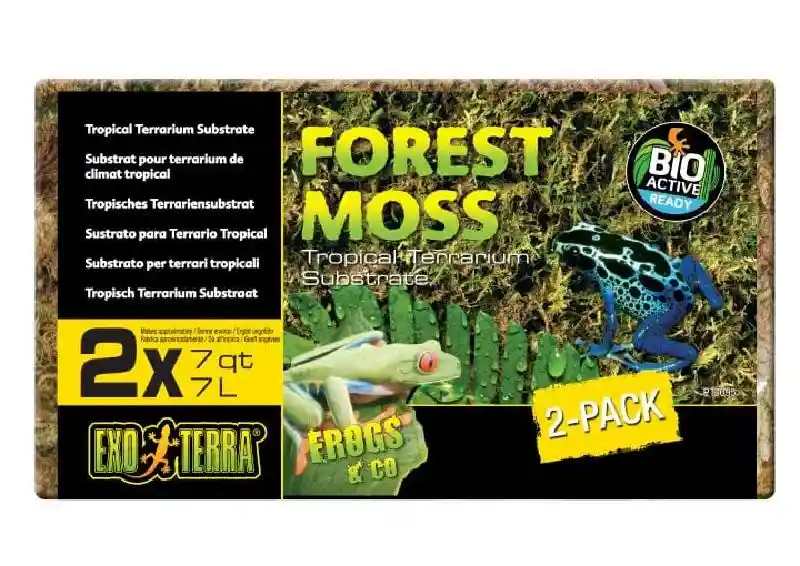 Exo-terra Forest Plume Moss