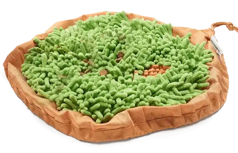 Forager Bowl Meadow Natural Medium