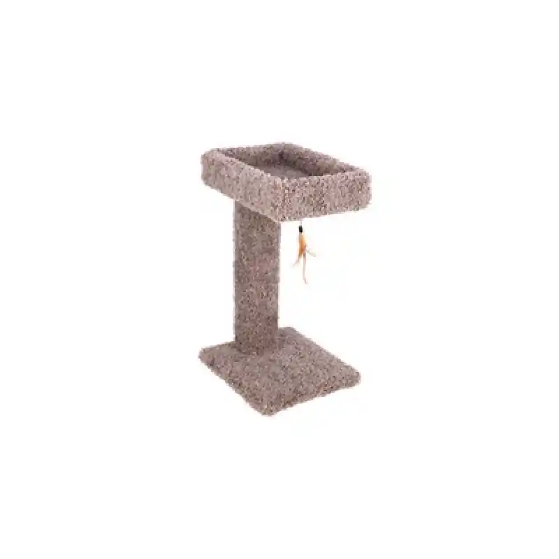 Kitty Cactus With Tray & Toy