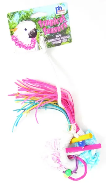 Tropical Teasers Dynamo Toy