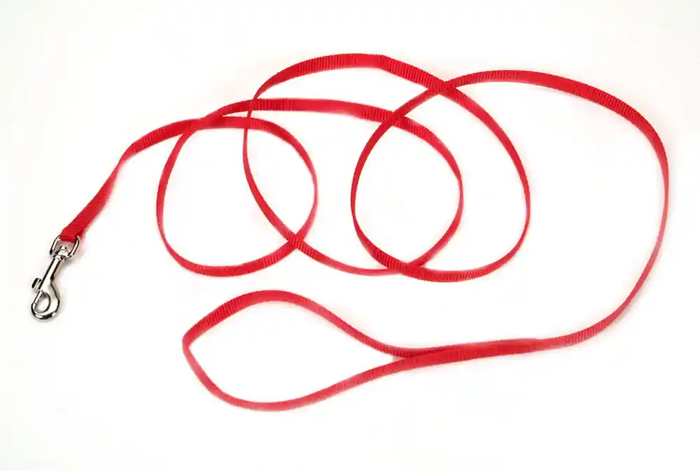 Lead 3/8in Nylon Web 6ft Red