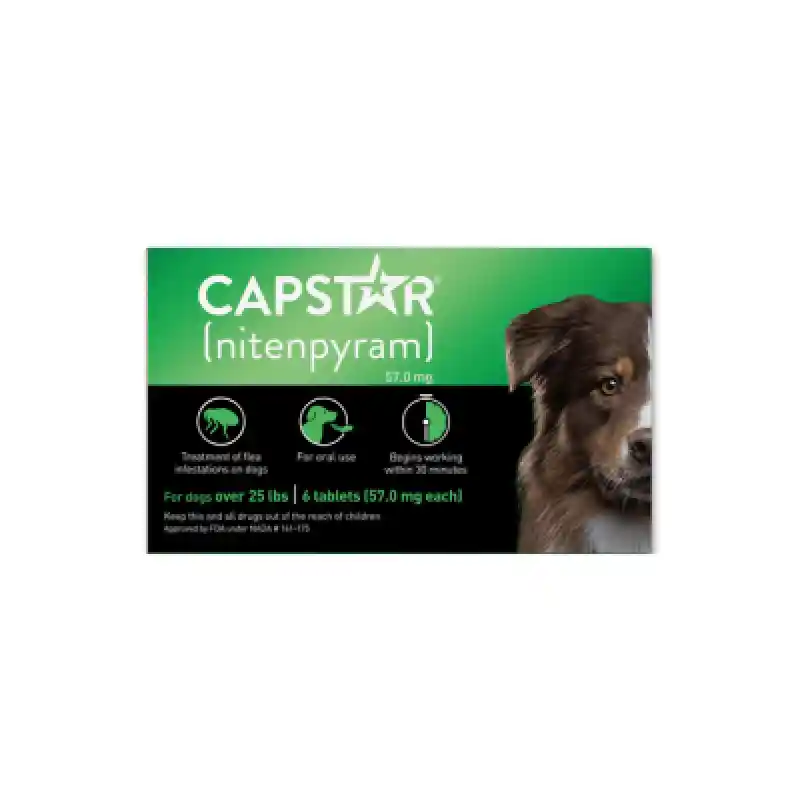 Capstar Flea Tab For Dogs 26-1