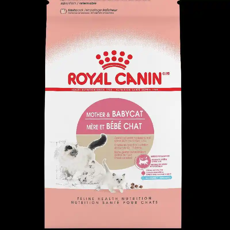 Rc Cat Mother Babycat 3.5lb