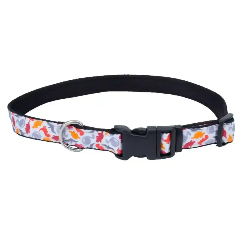 COASTAL 5/8" Collar Ad Dino 12" by Coastal Pet Products