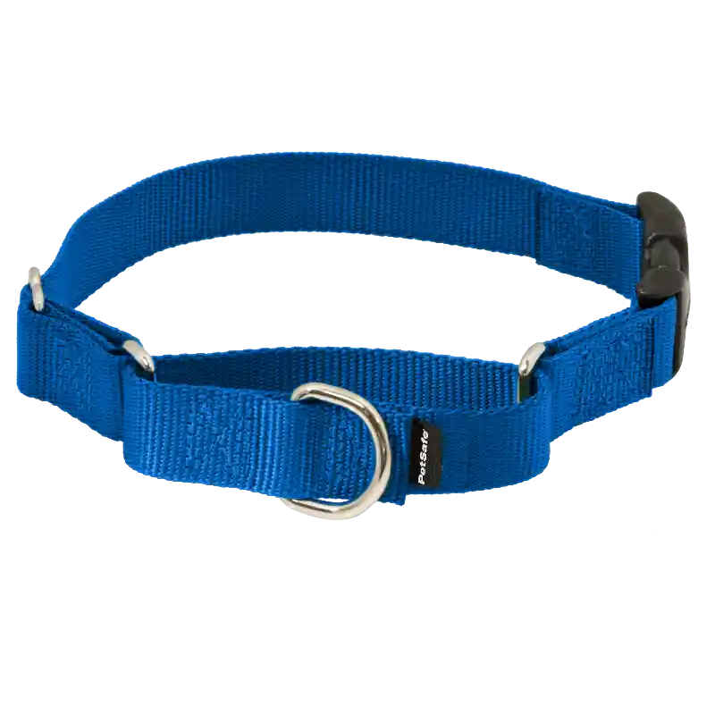 Martingale Collar Quick Snap Lg 1 Blue