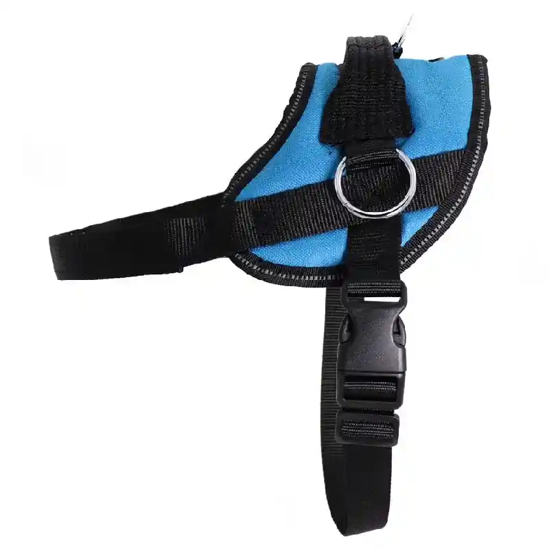 No Pull Harness AQUA Blue Lg
