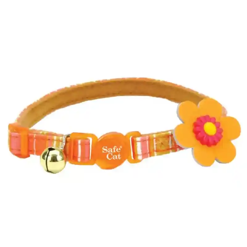 Embellished Fashion Collar, Stripe Orange, 3/8" X
