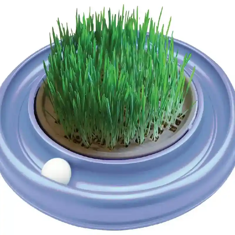 Turbo Scratc Cat Grass Insert