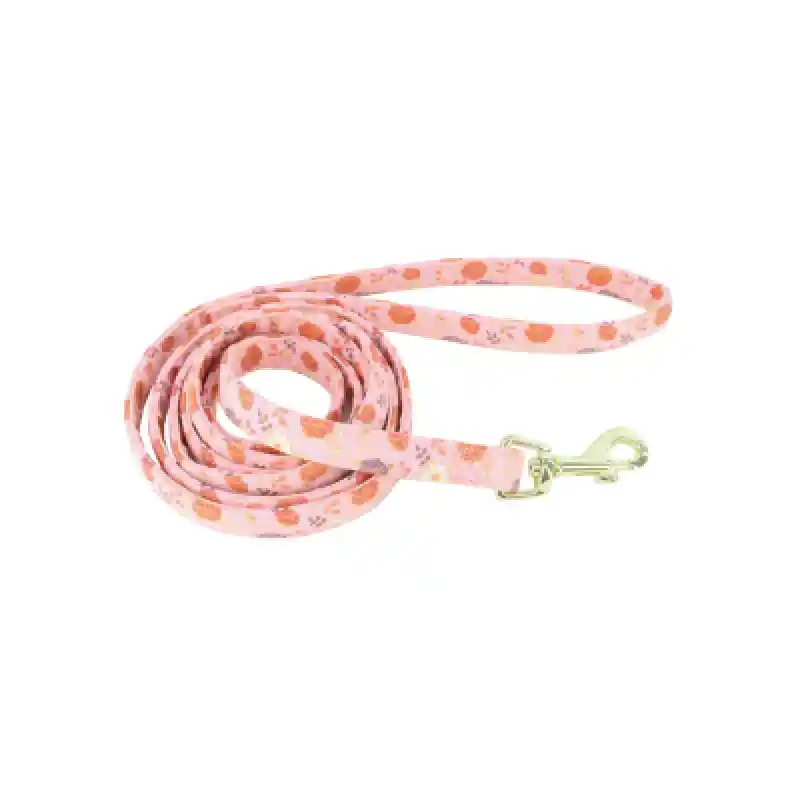 Metallic Leash Pnk Flowers 5/8" X6'