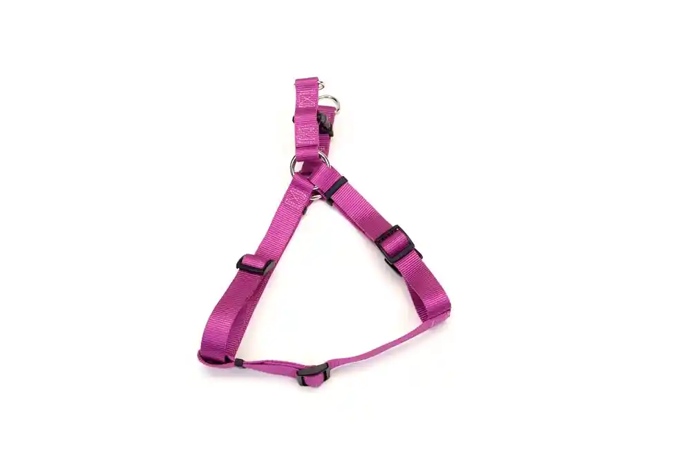 Step In Harness Medium Orchid