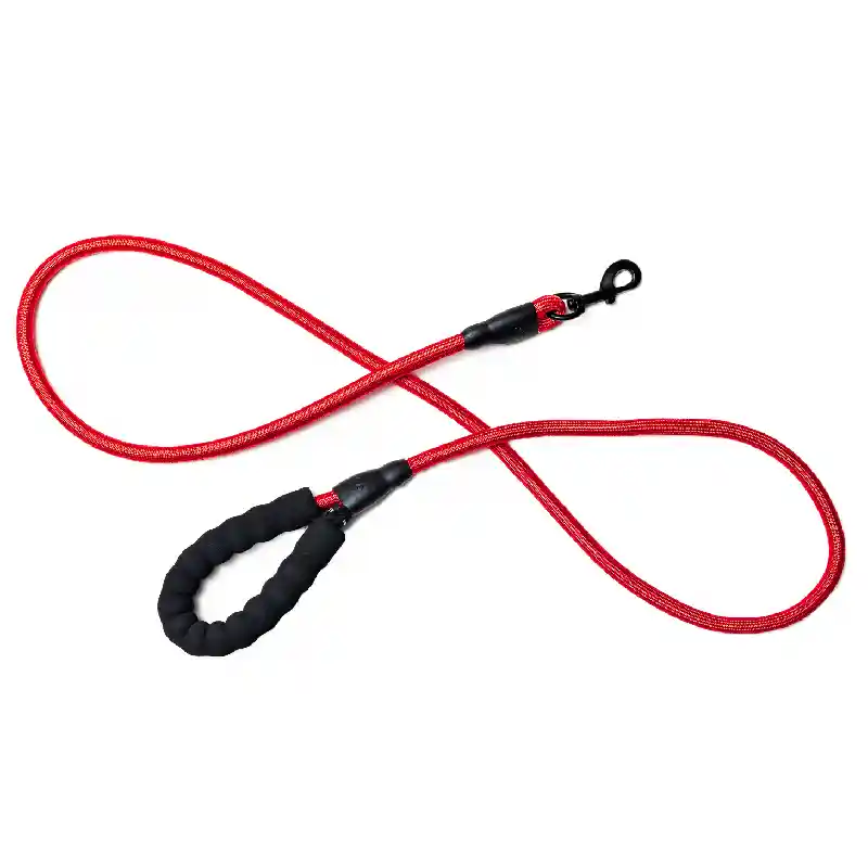 Red Rope Leash 6'