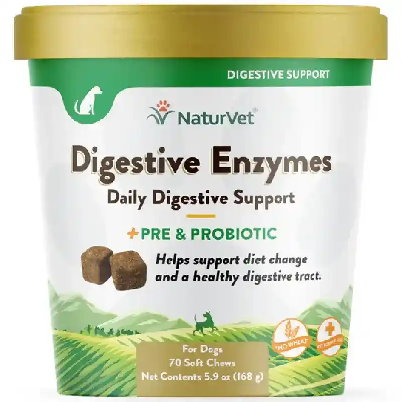Digestive Enzymes Plus Soft Ch