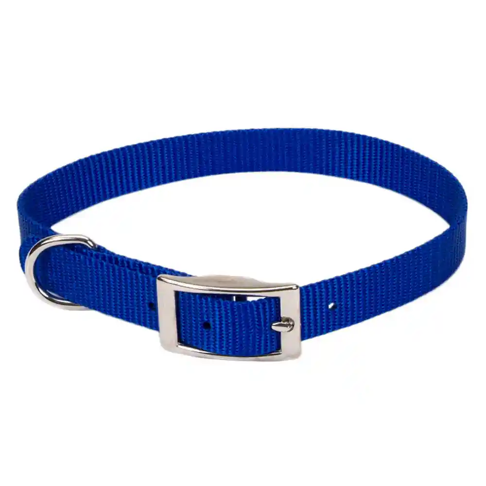 Single Ply Dog Collar - Blue Sml 5/8" X 14"