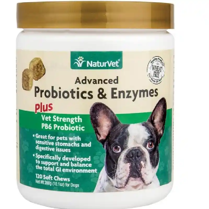 Advanced Probiotics & Enzymes Soft Chews 120ct
