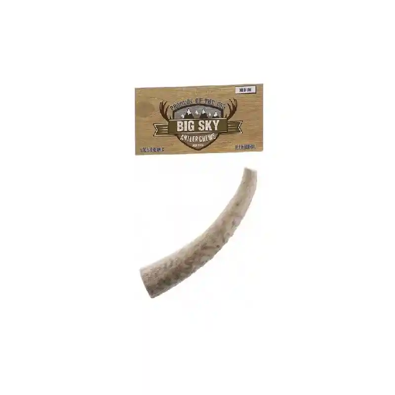 Big Sky Big Sky Antlers Medium by Scott Pet