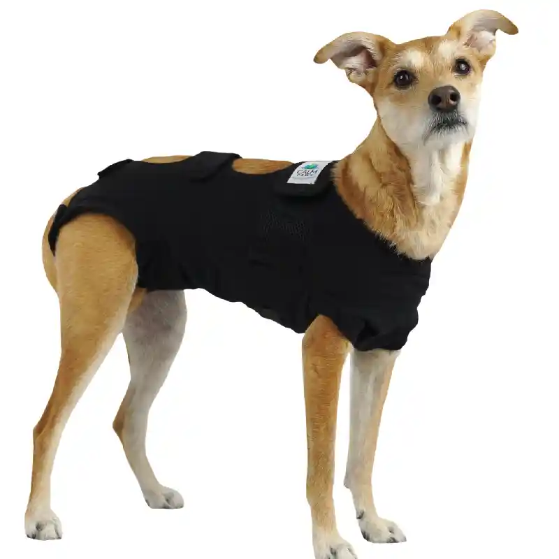 Calm Paws Calming Recovery Vest LG