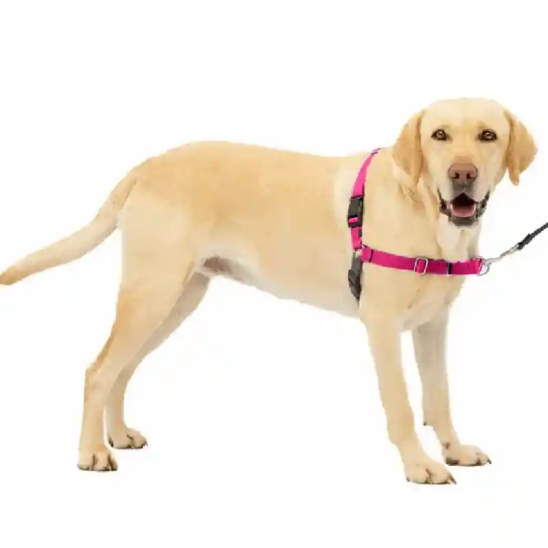 Easy Walk Harness Lg Rasp