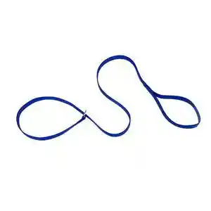 Dog Kennel Leash - Blue 5/8" X 06'