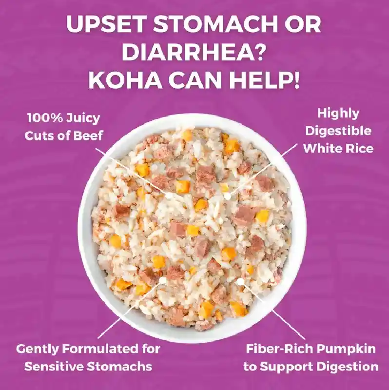 Koha D Bland Beef Rice 12.5oz