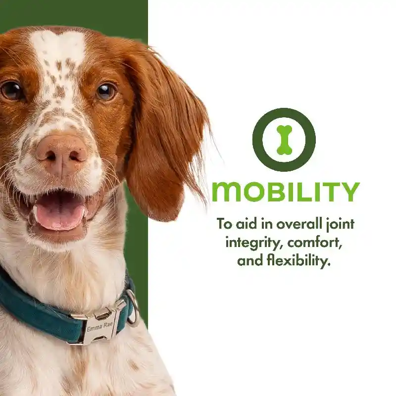 Fromm Treats Dog Nutritionals Mobility 6 Oz