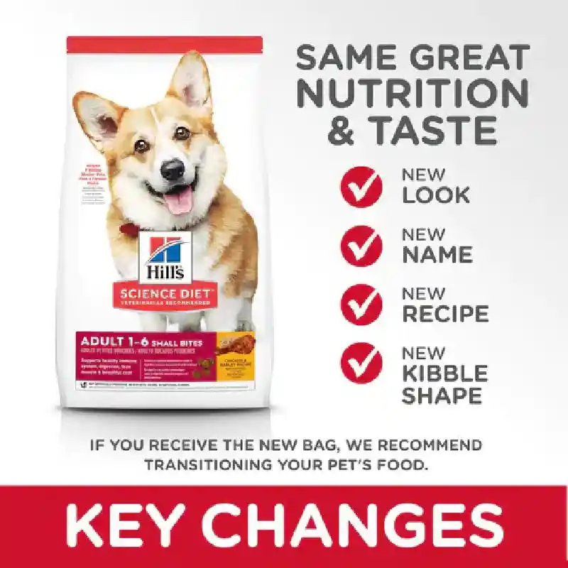 SD Ca Small Bites 15 603798