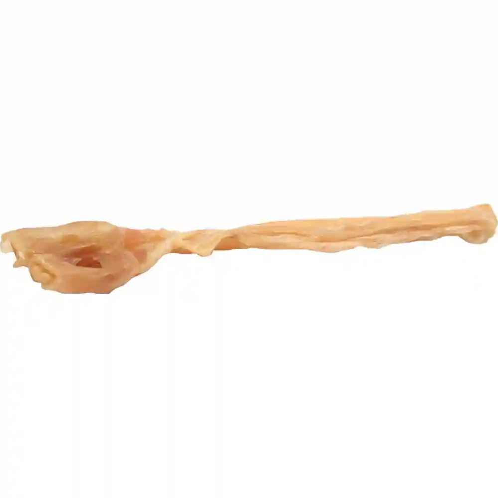 Tendons Large