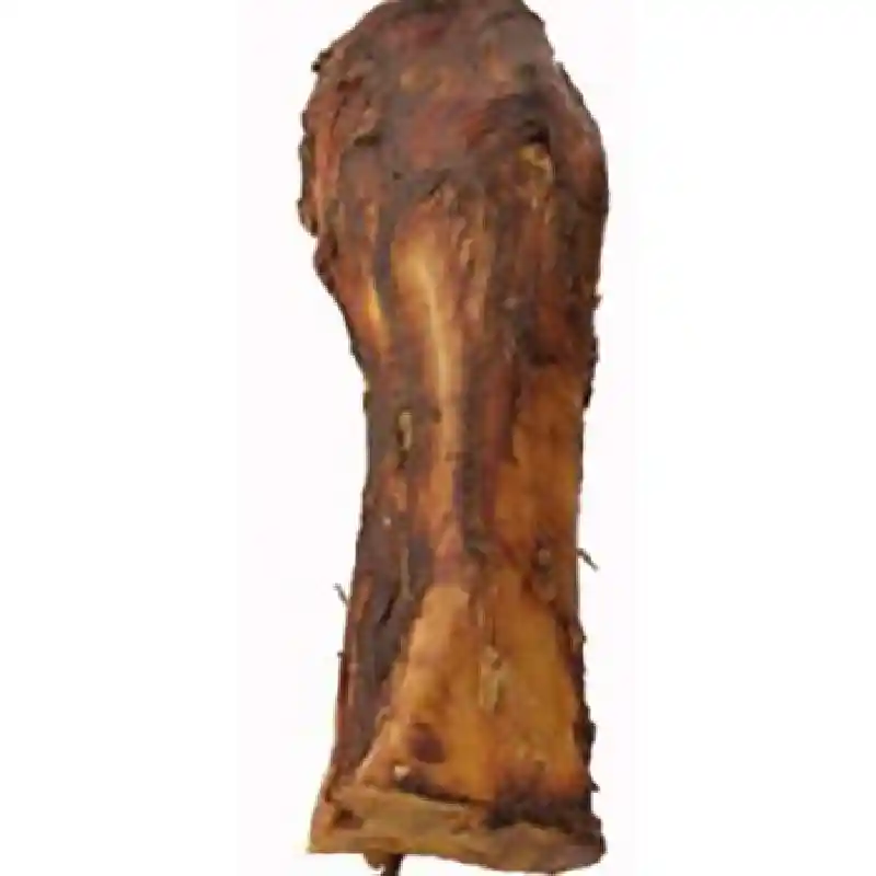 Slammer Bone 10-12"