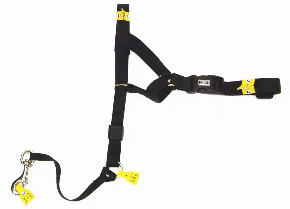 Holt Headcollar Black 03