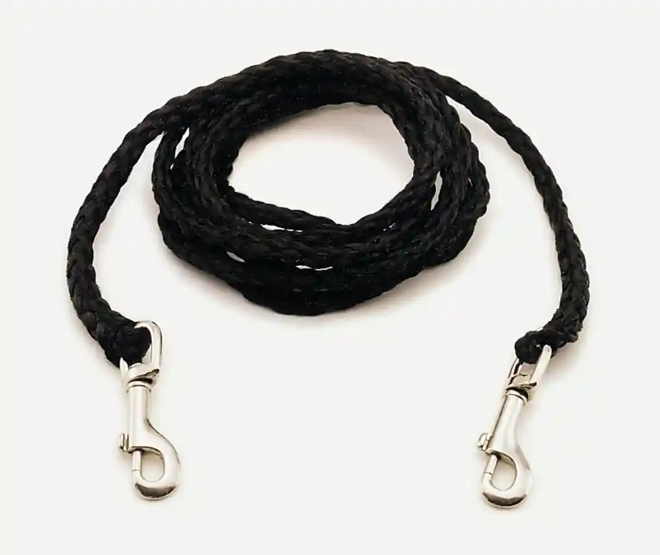 3/8" X 10ft Big Dog Tie Out Bk