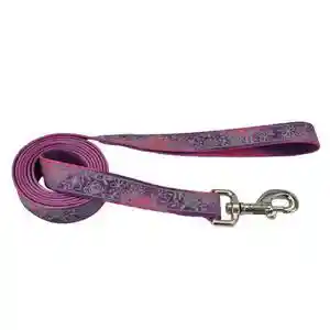 5/8" Reflect Leash 6' Pmf
