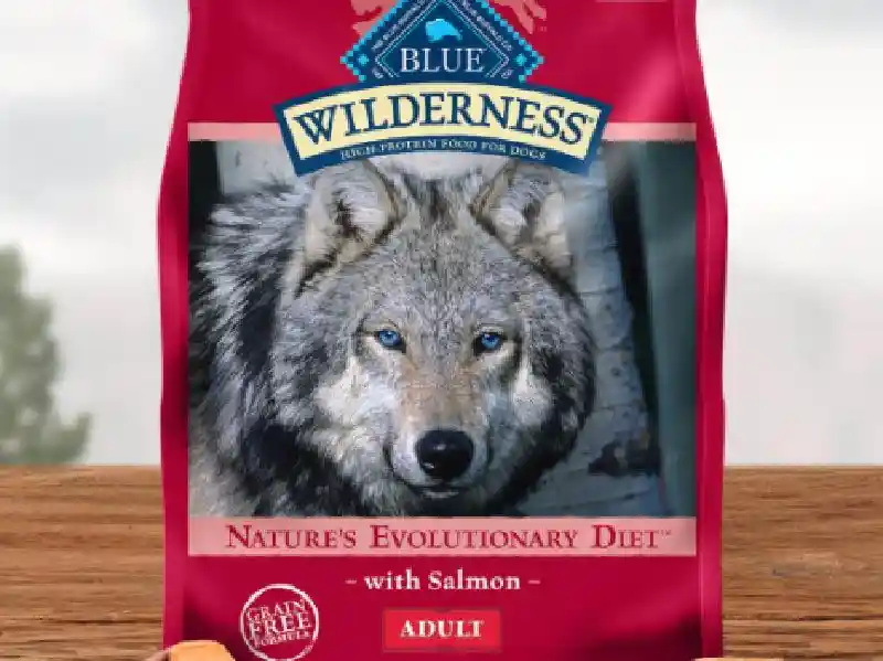 Wilderness Salmon 24lb Grain Free