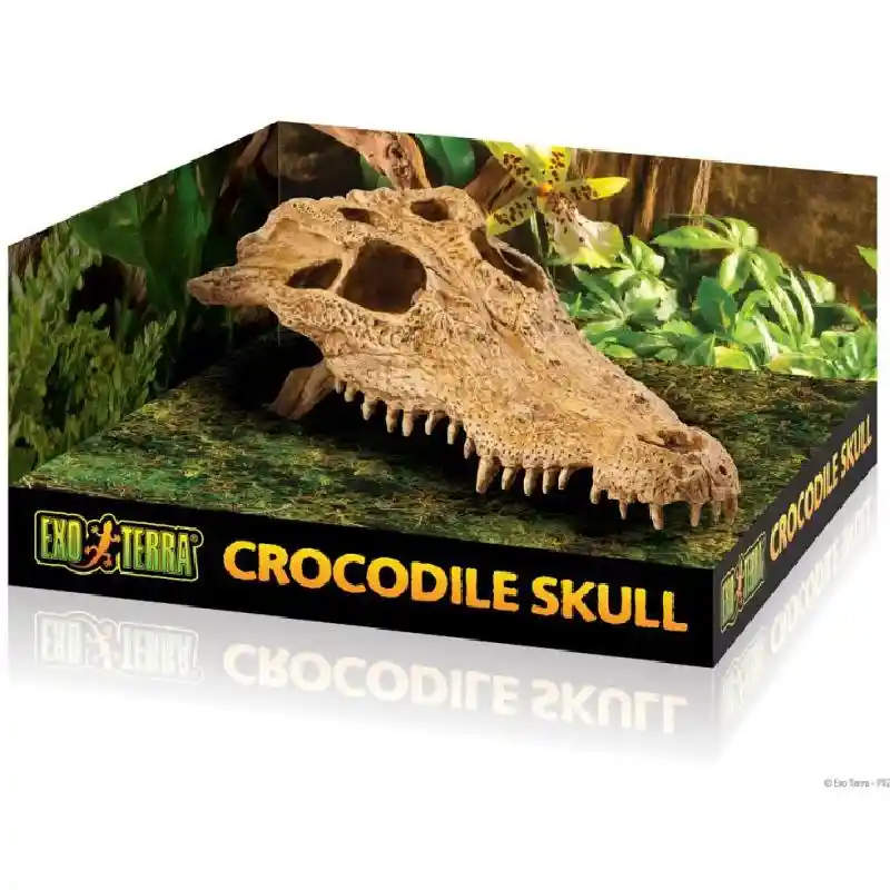 Exo-terra Terrarium Decor, Croc Skull;