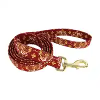 Metallic Leash Burg Crown 1"X6'