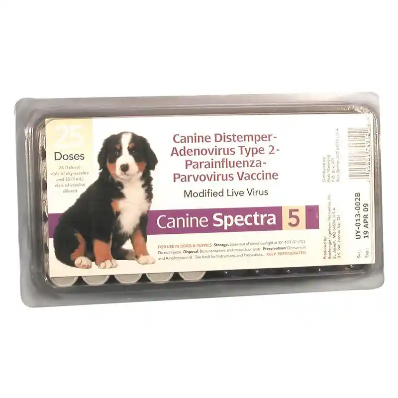 Canine Spectra 5 - 25x1 dose Tray