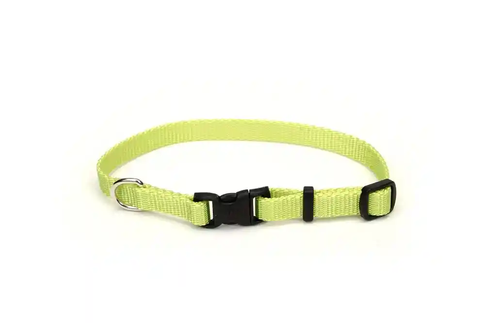 Adj Collar Xsmall Lime