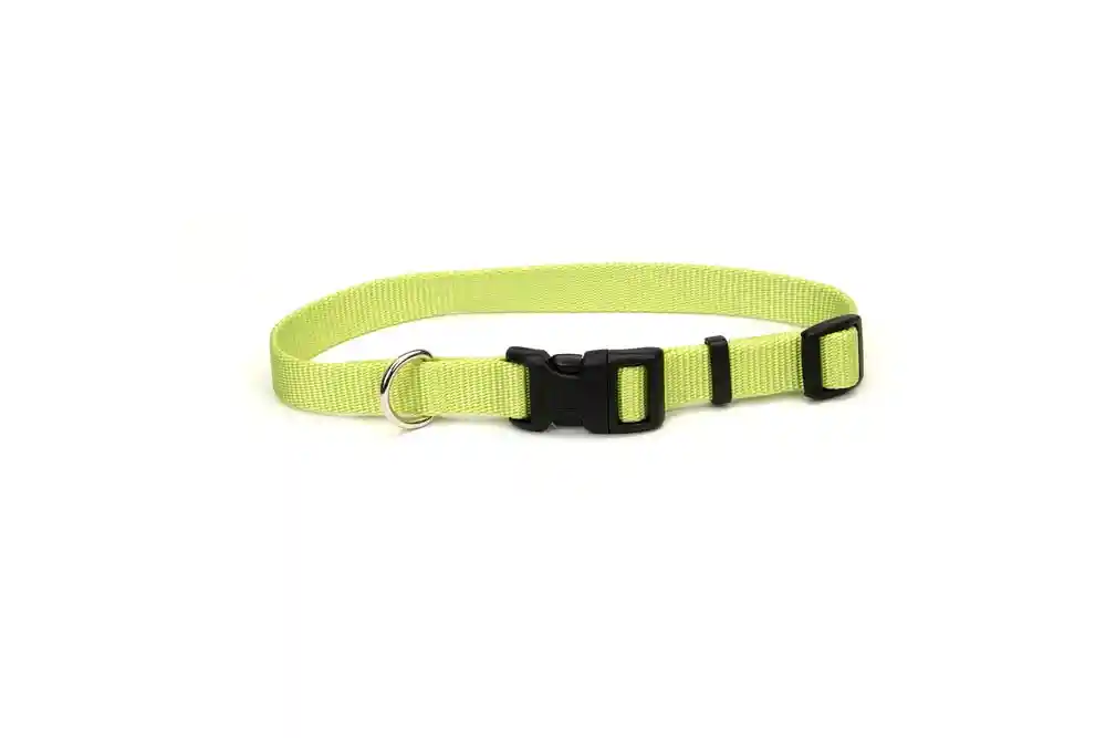 Adj Collar Sm/Med Lime
