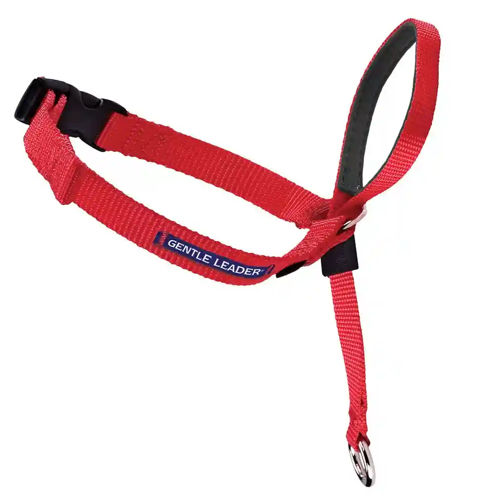 Gentle Leader P 3/8in Red