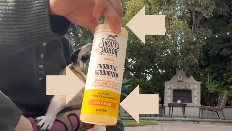 PROBIOTIC SHAMP/COND HONEYSUCKLE 16oz