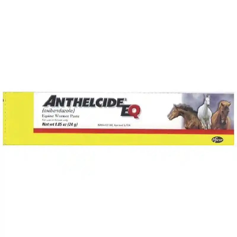 ANTHELCIDE EQ Paste
