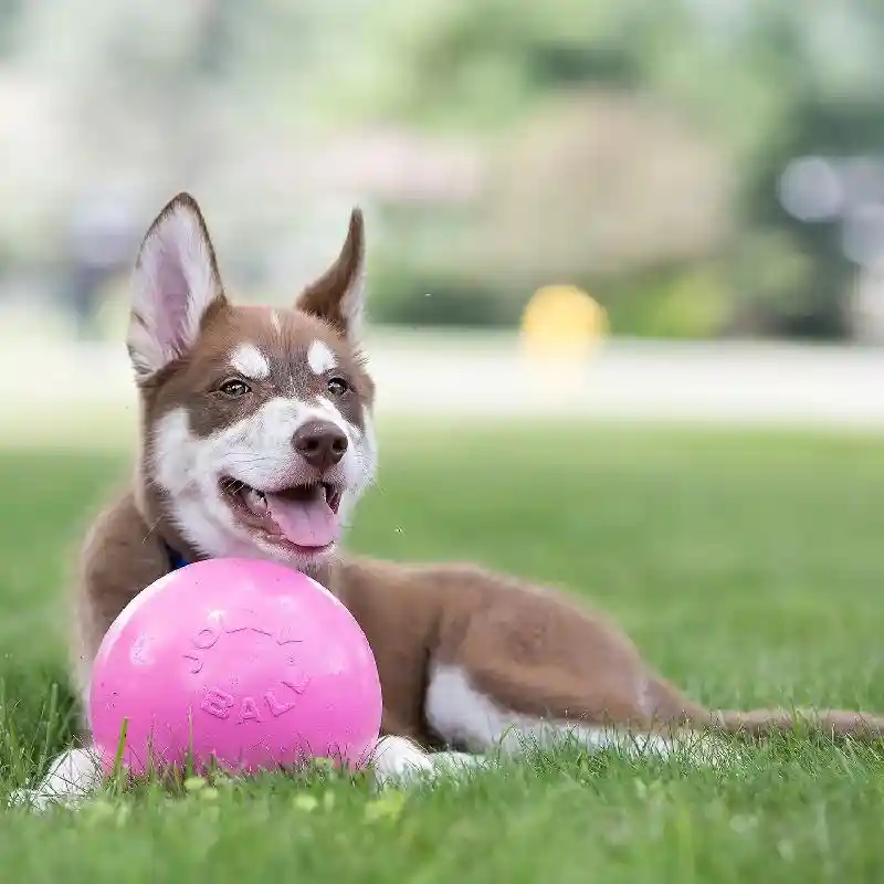 Bounce N Play Pink 4.5in