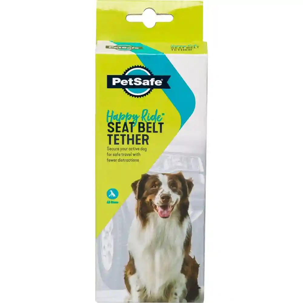 Deluxe Car Safety Tether
