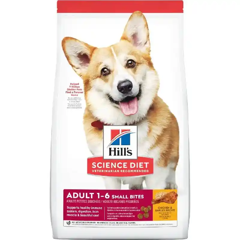 SD Ca Small Bites 15 603798